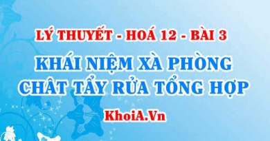 Khái niệm xà phòng, chất giặt rửa tổng hợp, phương pháp sản xuất và tác dụng của xà phòng, chất giặt rửa - Hoá 12 bài 3